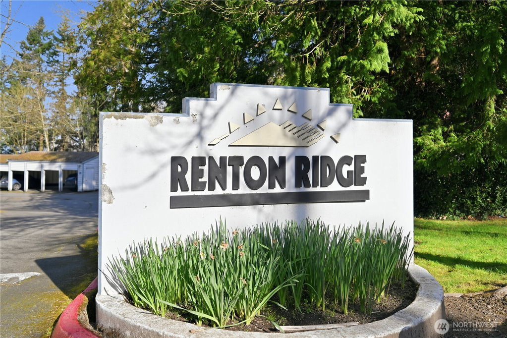 Media Image 1