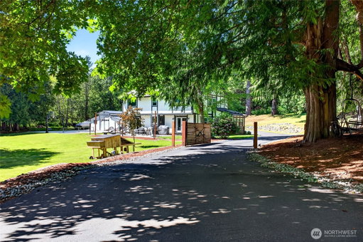 Media Image 2