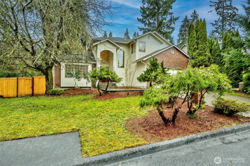Media Image 3