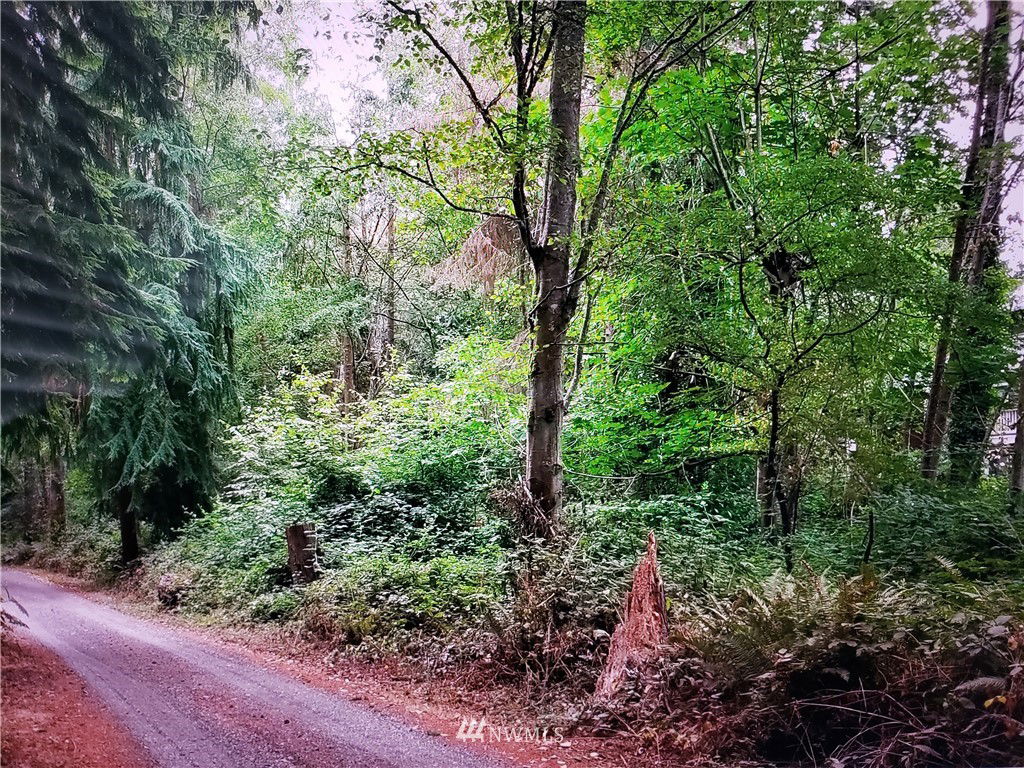 Image Unavailable