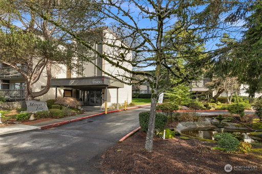 Media Image 2