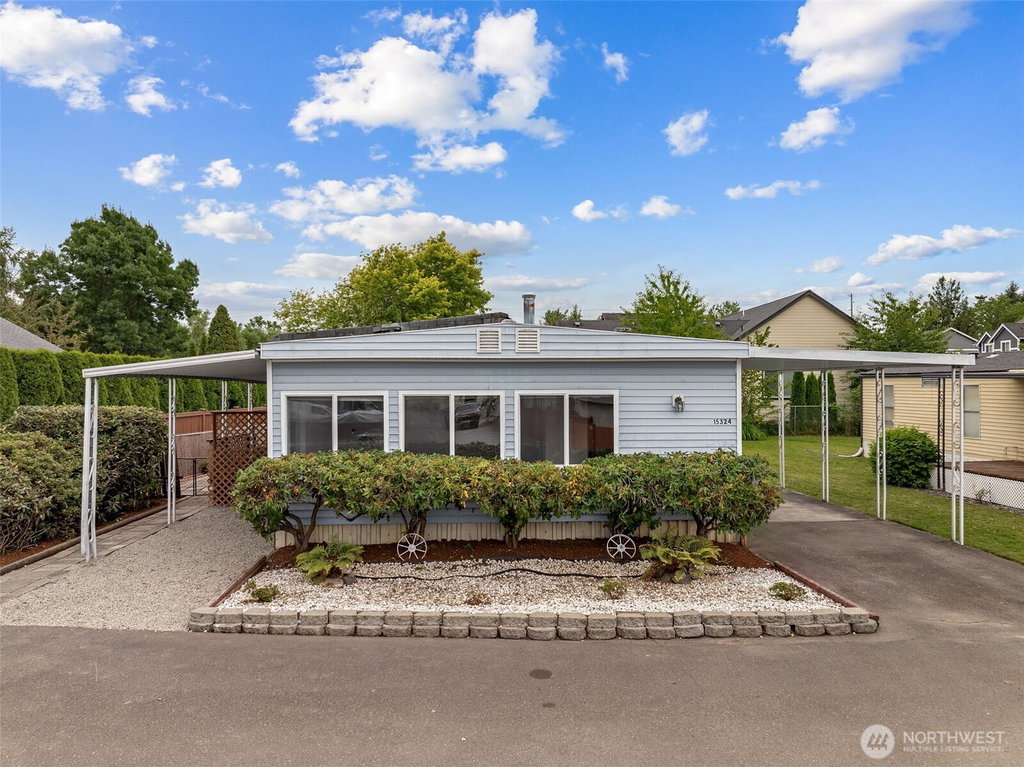 Media Image 1