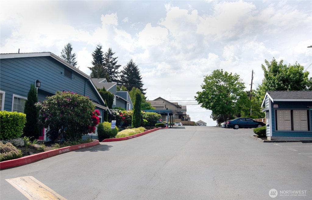 Media Image 1