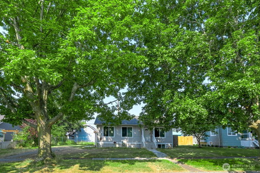 Media Image 2