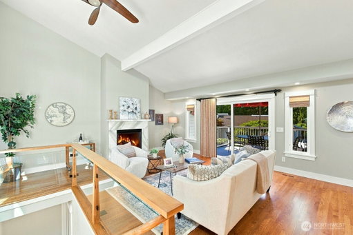 Media Image 3