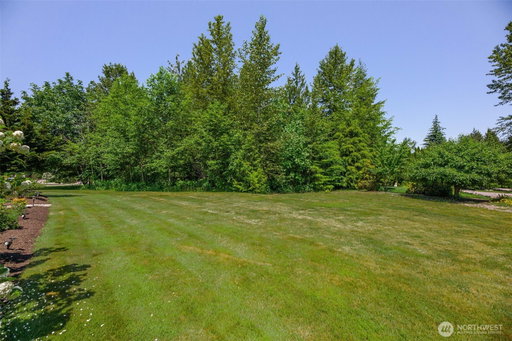Media Image 3