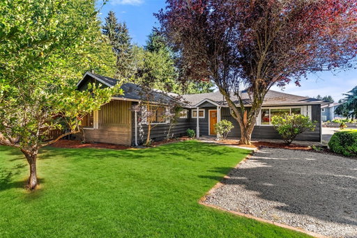 Media Image 2