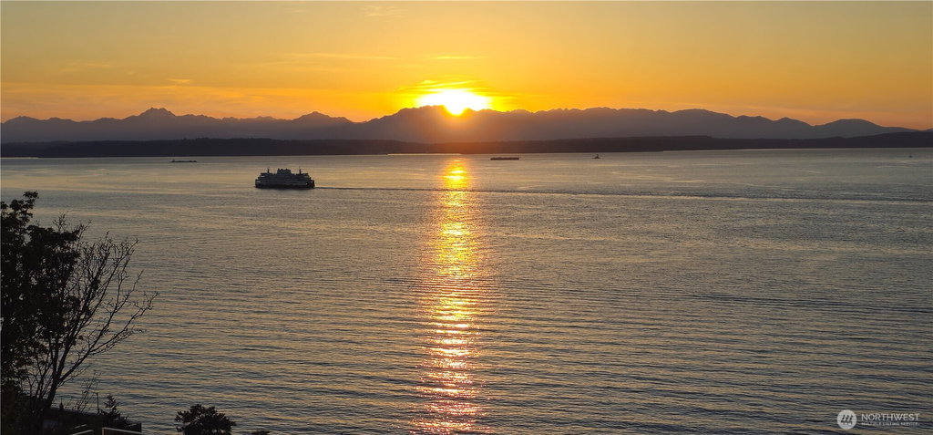 Media Image 1