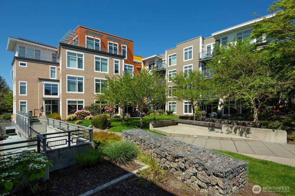 Media Image 1