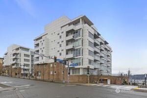 Media Image 3