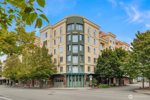 Media Image 2