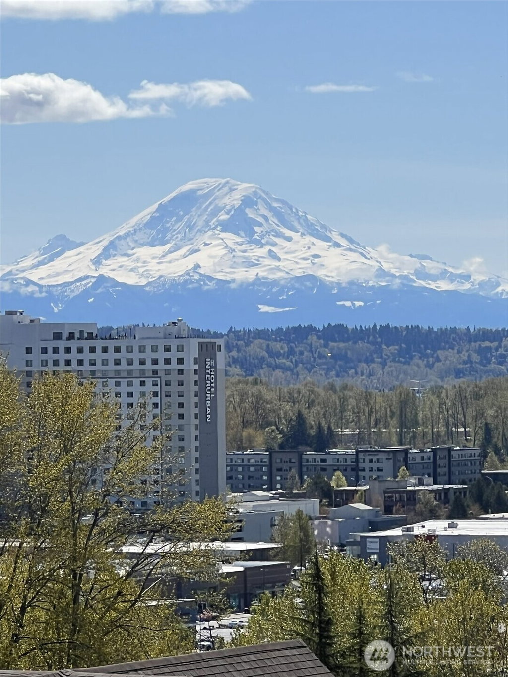 Media Image 1