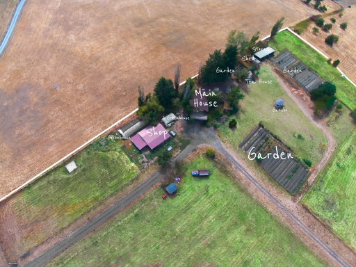 Media Image 3