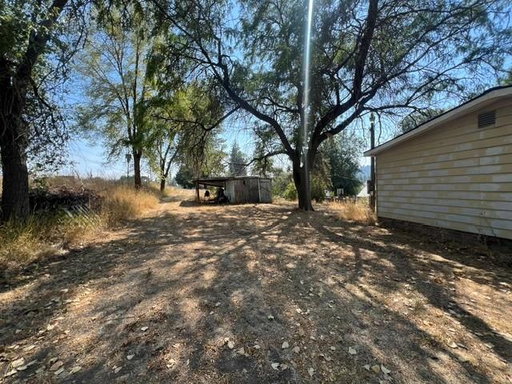 Media Image 3