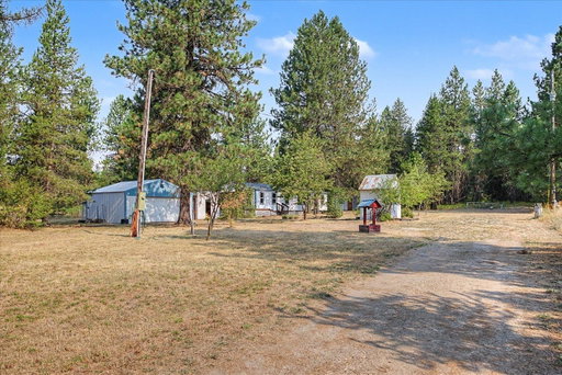 Media Image 2