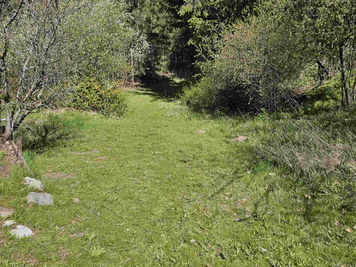 Media Image 3