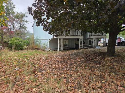 Media Image 3