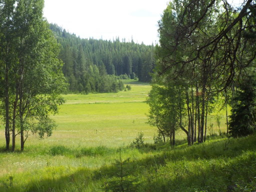 Media Image 2