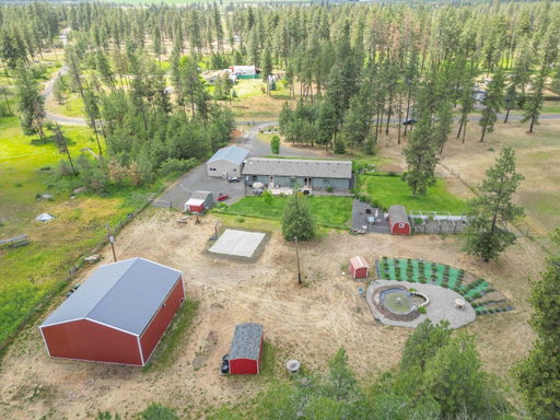 Media Image 3