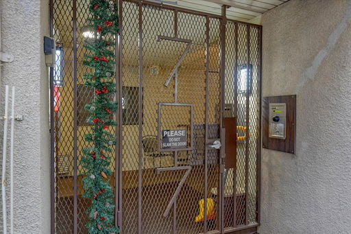 Media Image 3