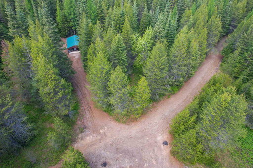 Media Image 3