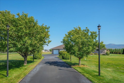Media Image 2