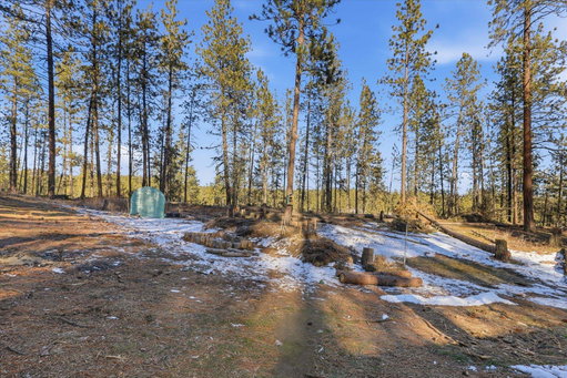 Media Image 2