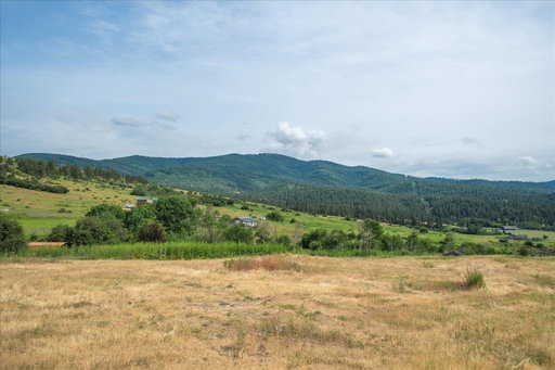 Media Image 2