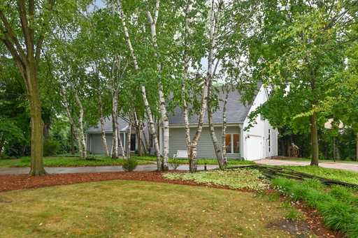 Media Image 2