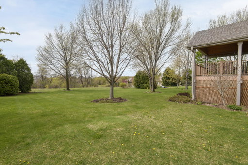 Media Image 3