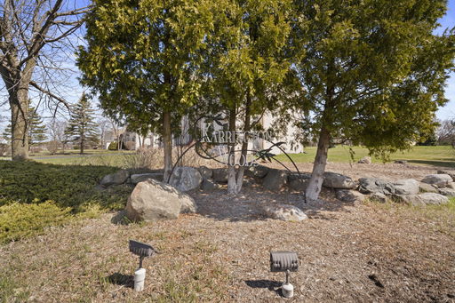 Media Image 2