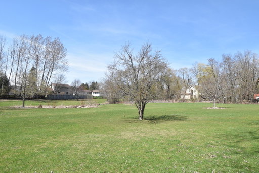 Media Image 2