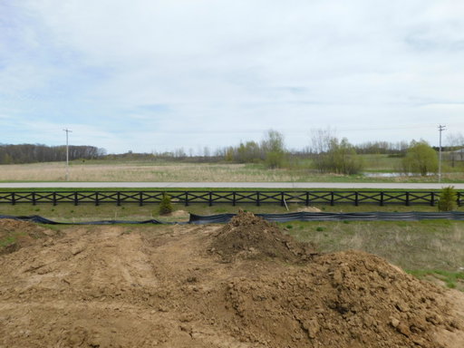 Media Image 3