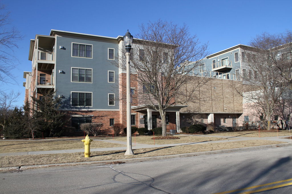 Media Image 1