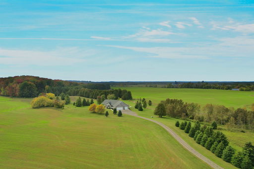 Media Image 3