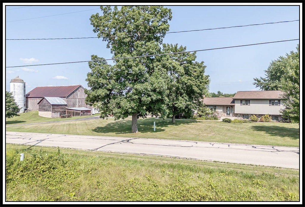 Media Image 1