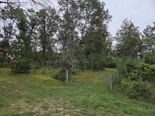 Media Image 2