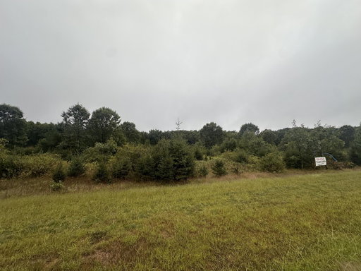 Media Image 3