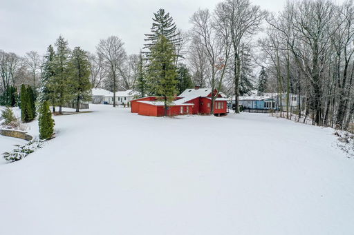 Media Image 2