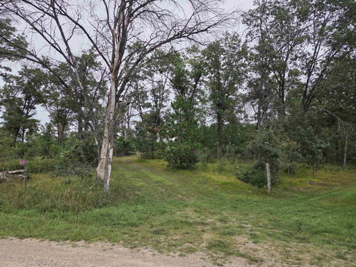 Media Image 3