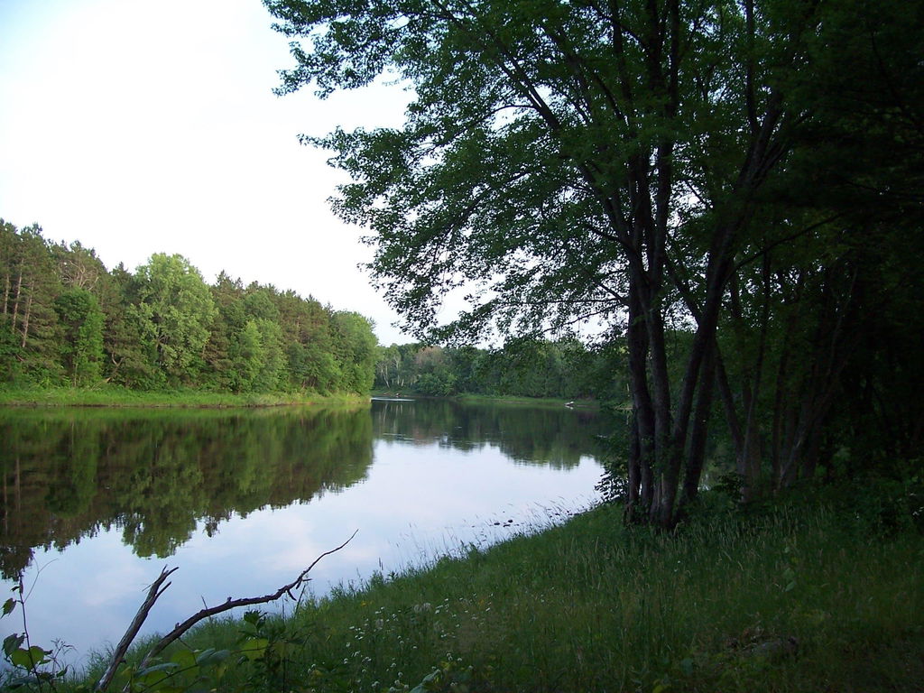 Media Image 1
