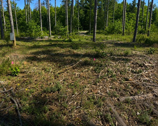 Media Image 3