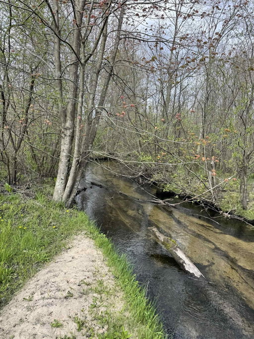 Media Image 3
