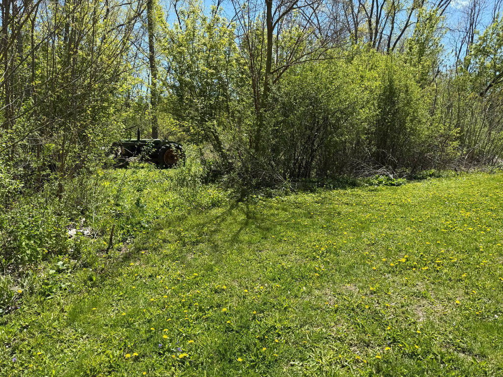 Image Unavailable