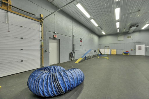Media Image 3