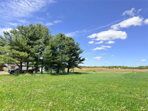 Media Image 3
