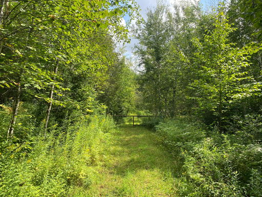 Media Image 2