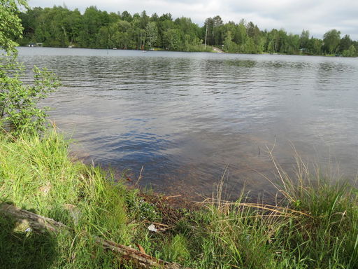 Media Image 3