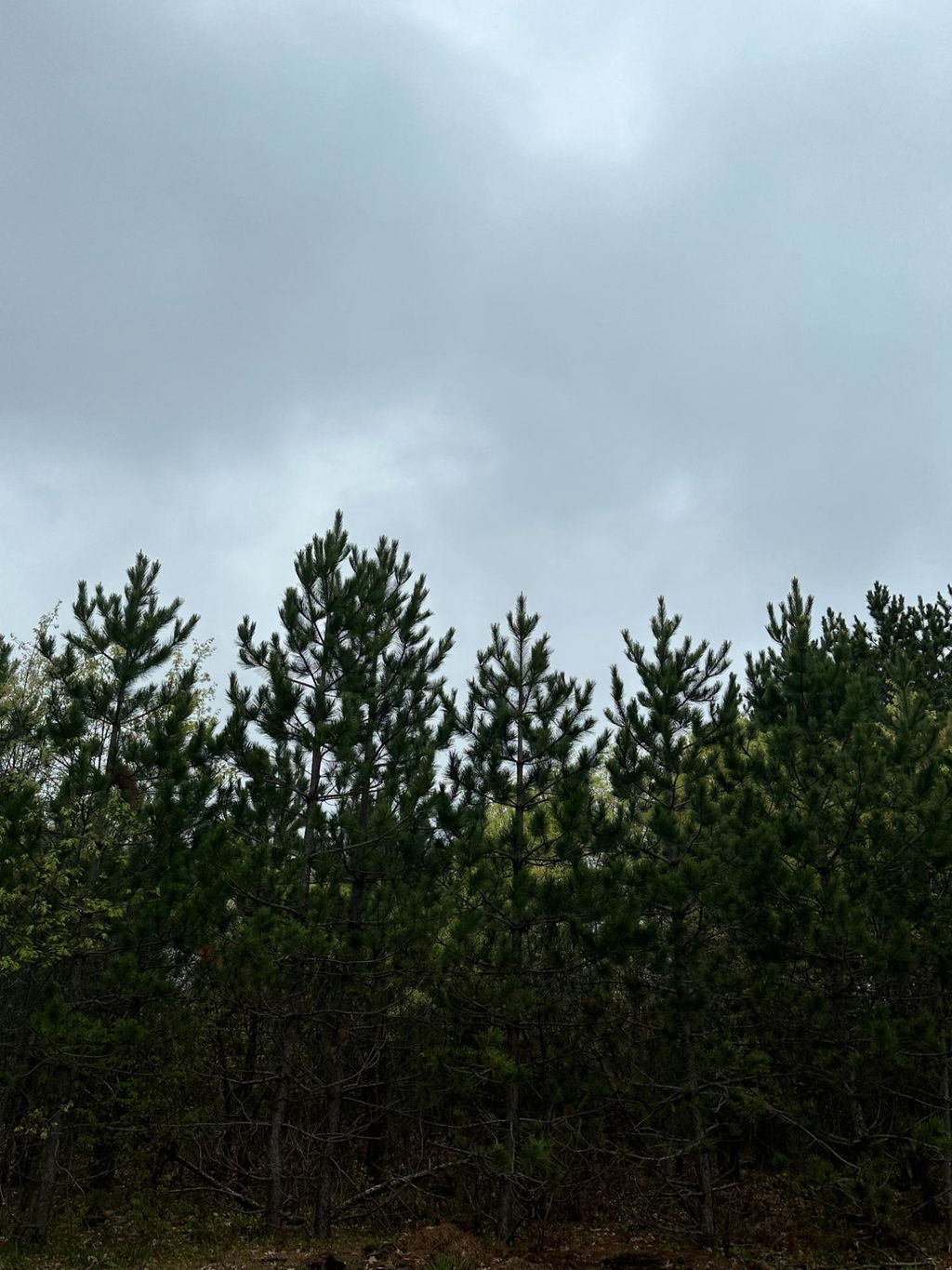 Image Unavailable