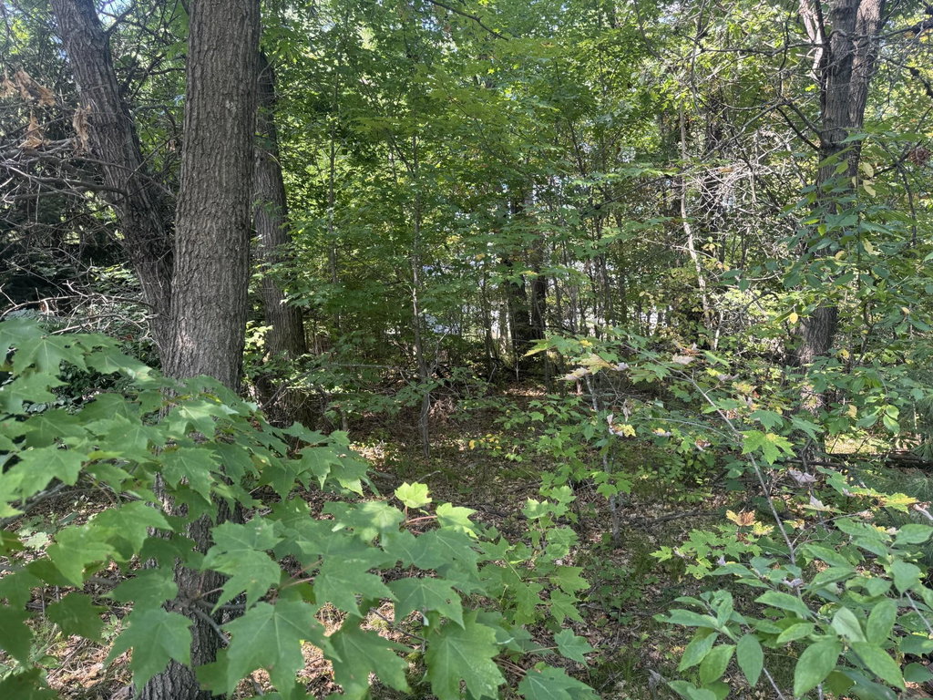 Image Unavailable